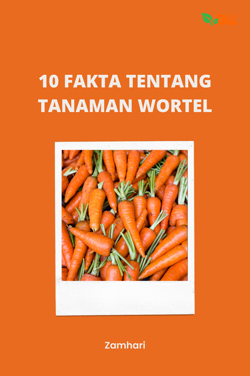 10 Fakta Tentang Tanaman Wortel