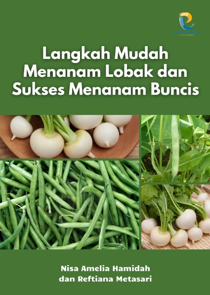 Langkah Mudah Menanam Lobak dan Sukses Menanam Buncis