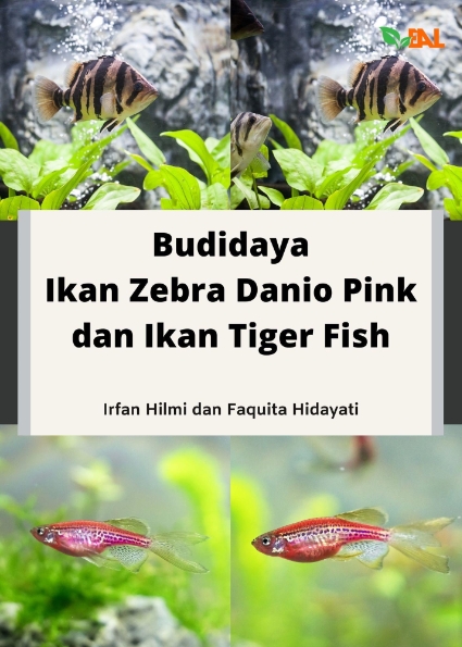Budidaya Ikan Zebra Danio Pink dan Ikan Tiger Fish