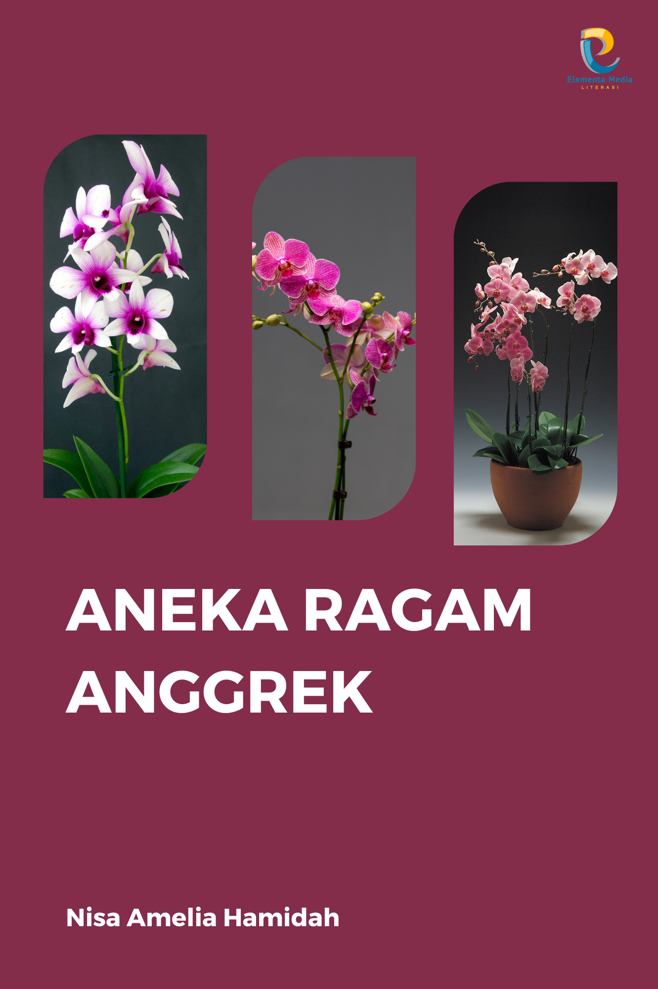Aneka Ragam Anggrek