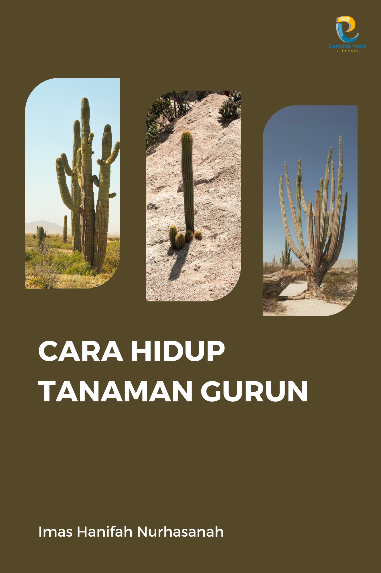 Cara Hidup Tanaman Gurun