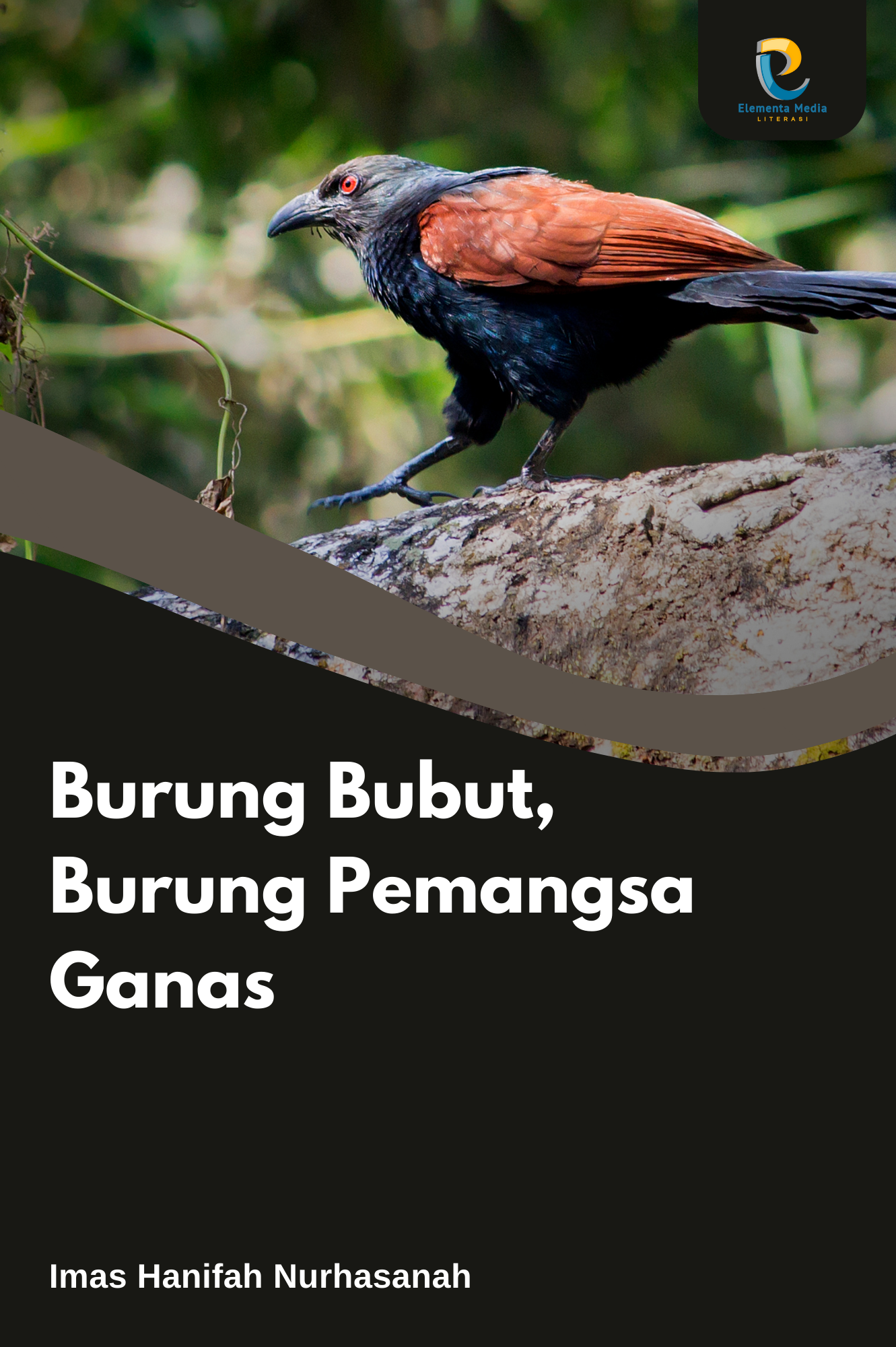 Burung Bubut, Burung Pemangsa Ganas