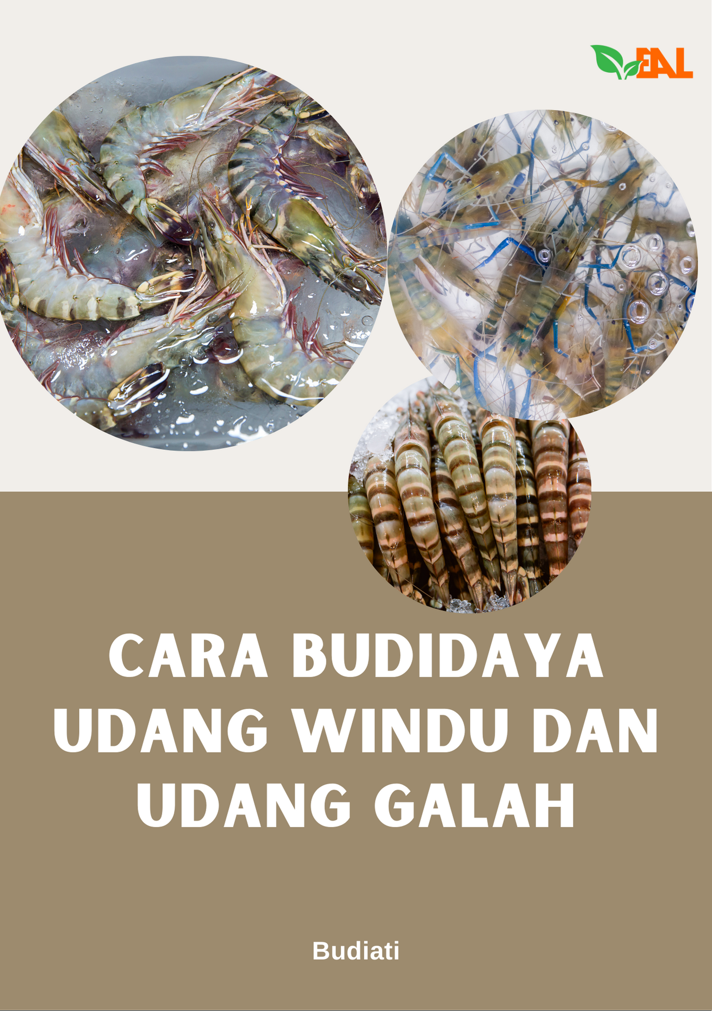 Cara Budidaya Udang Windu dan Udang Galah