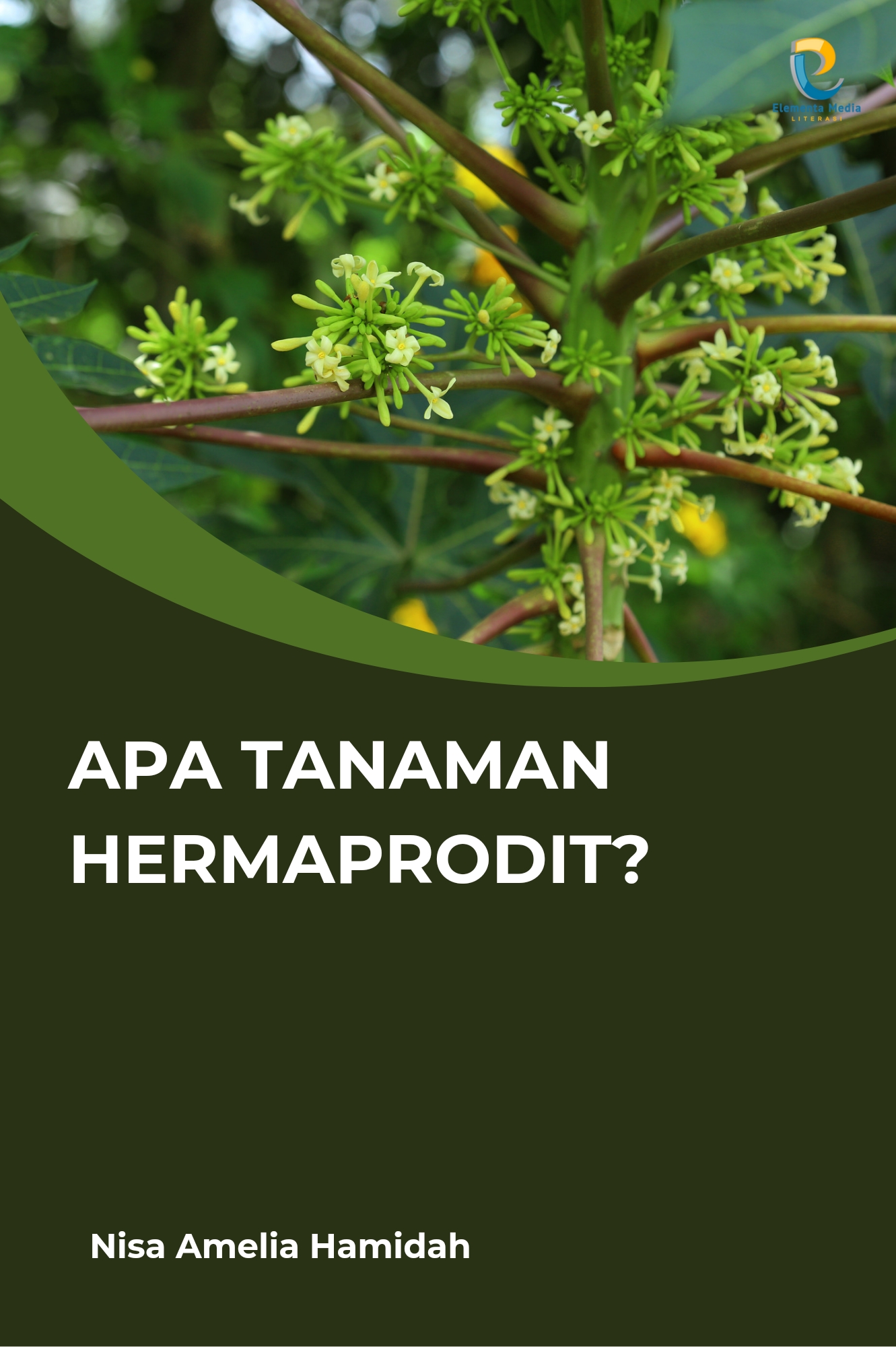 Apa Tanaman Hermaprodit?