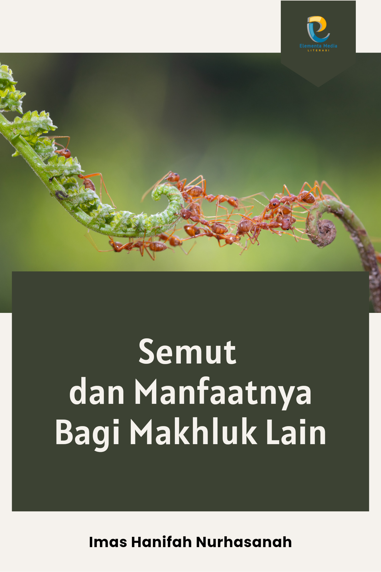 Semut dan Manfaatnya Bagi Makhluk Lain