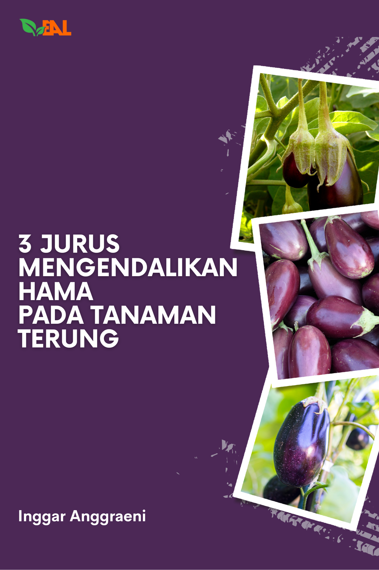 3 Jurus Mengendalikan Hama pada Tanaman Terung