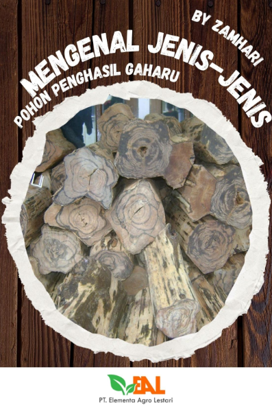 Mengenal Jenis-Jenis Pohon Penghasil Gaharu