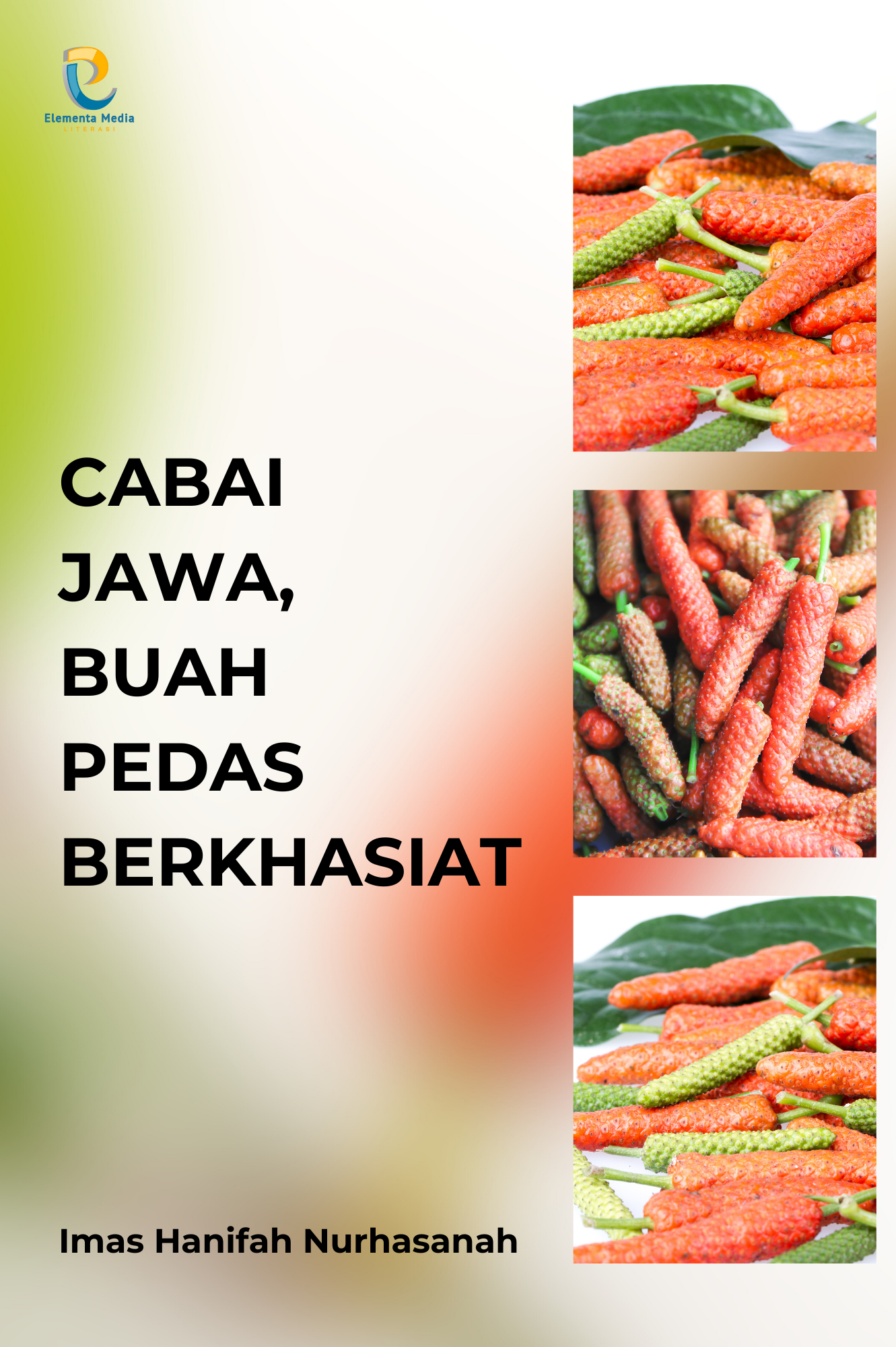 Cabai Jawa, Buah Pedas Berkhasiat