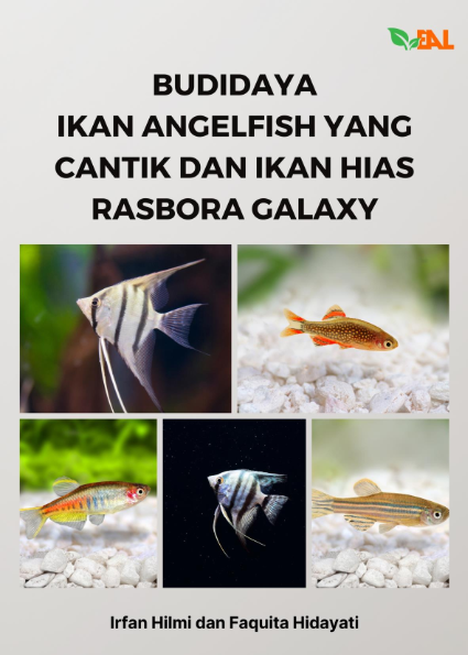 Budidaya Ikan Angelfish yang Cantik dan Ikan Hias Rasbora Galaxy