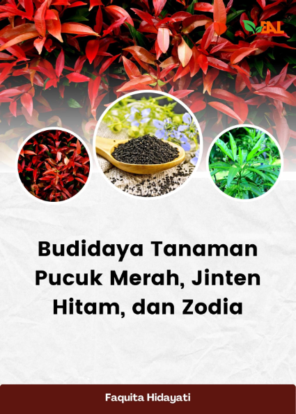 Budidaya Tanaman Pucuk Merah, Jinten Hitam, dan Zodia