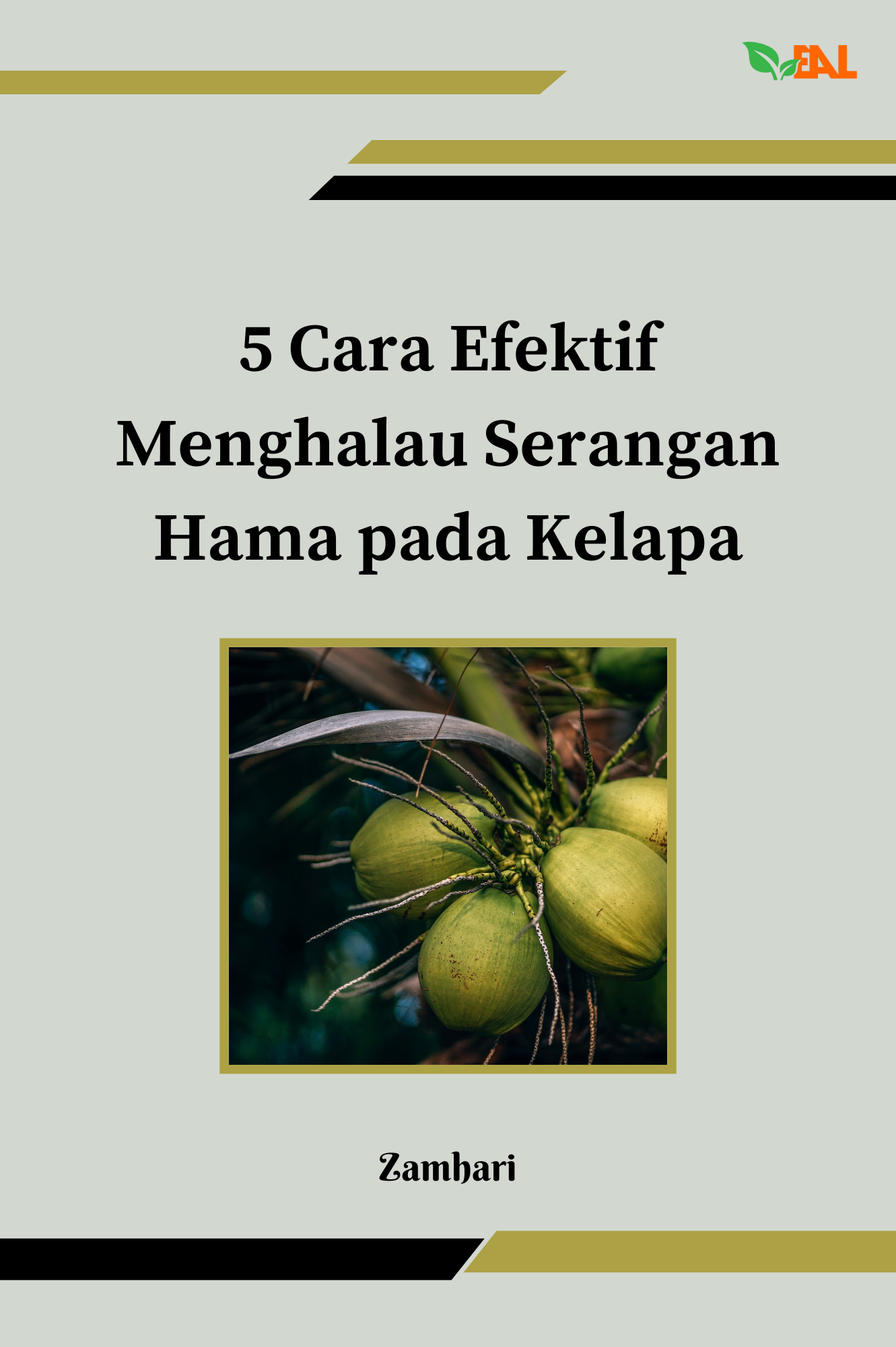 5 Cara Efektif Menghalau Serangan Hama pada Kelapa