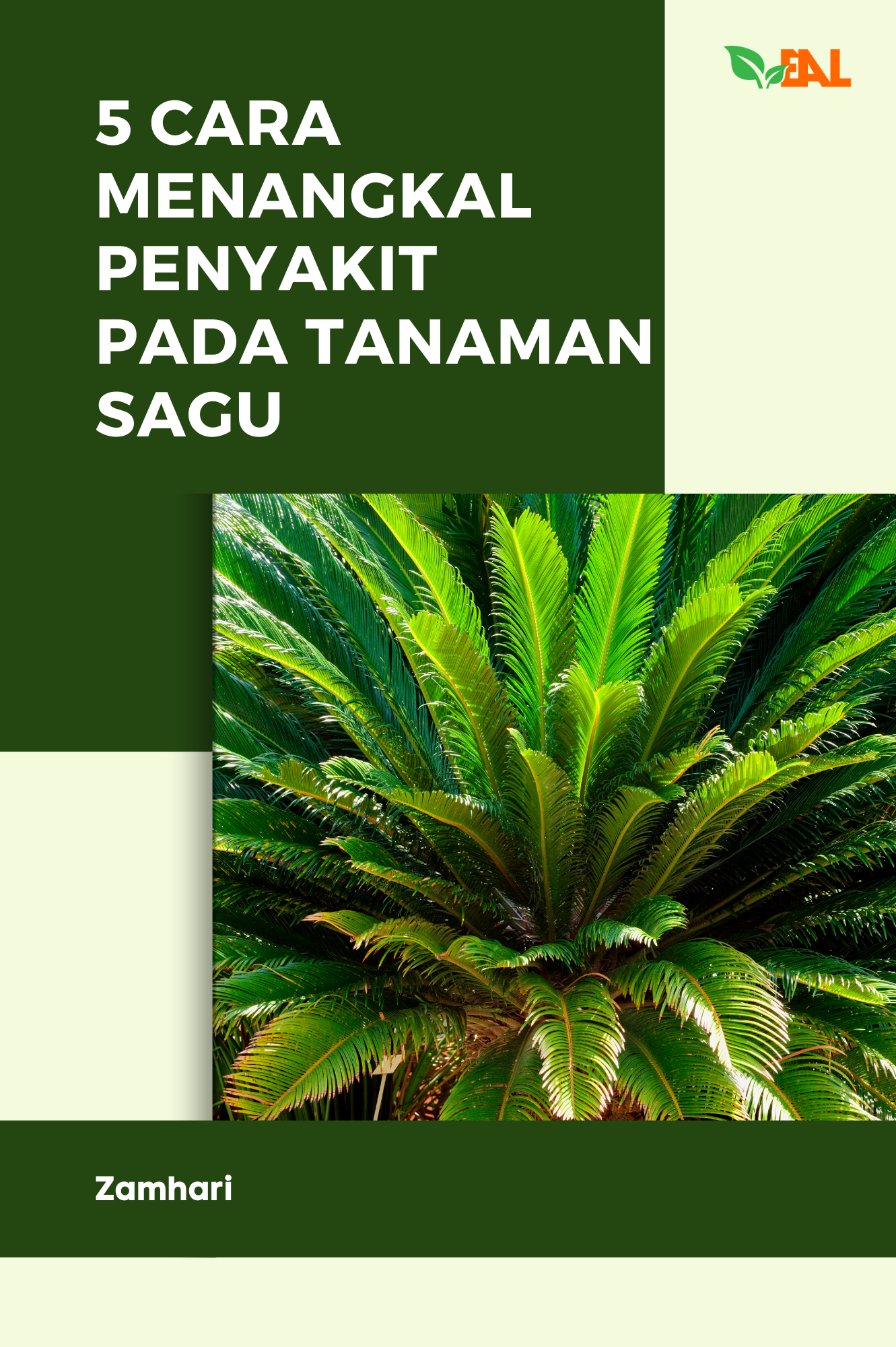 5 Cara Menangkal Penyakit pada Tanaman Sagu