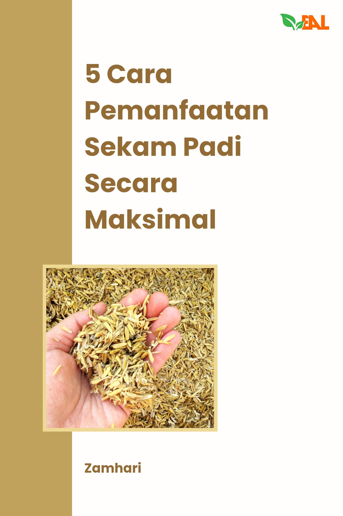 5 Cara Pemanfaatan Sekam Padi Secara Maksimal
