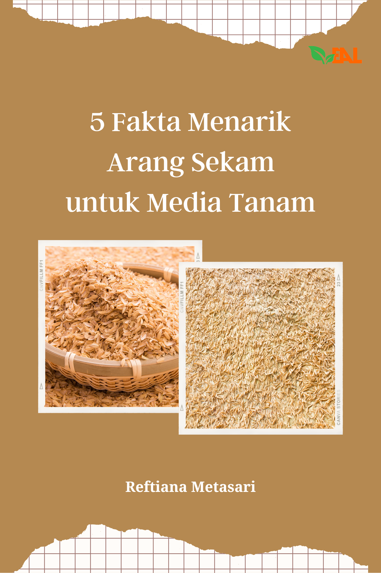 5 Fakta Menarik Arang Sekam untuk Media Tanam