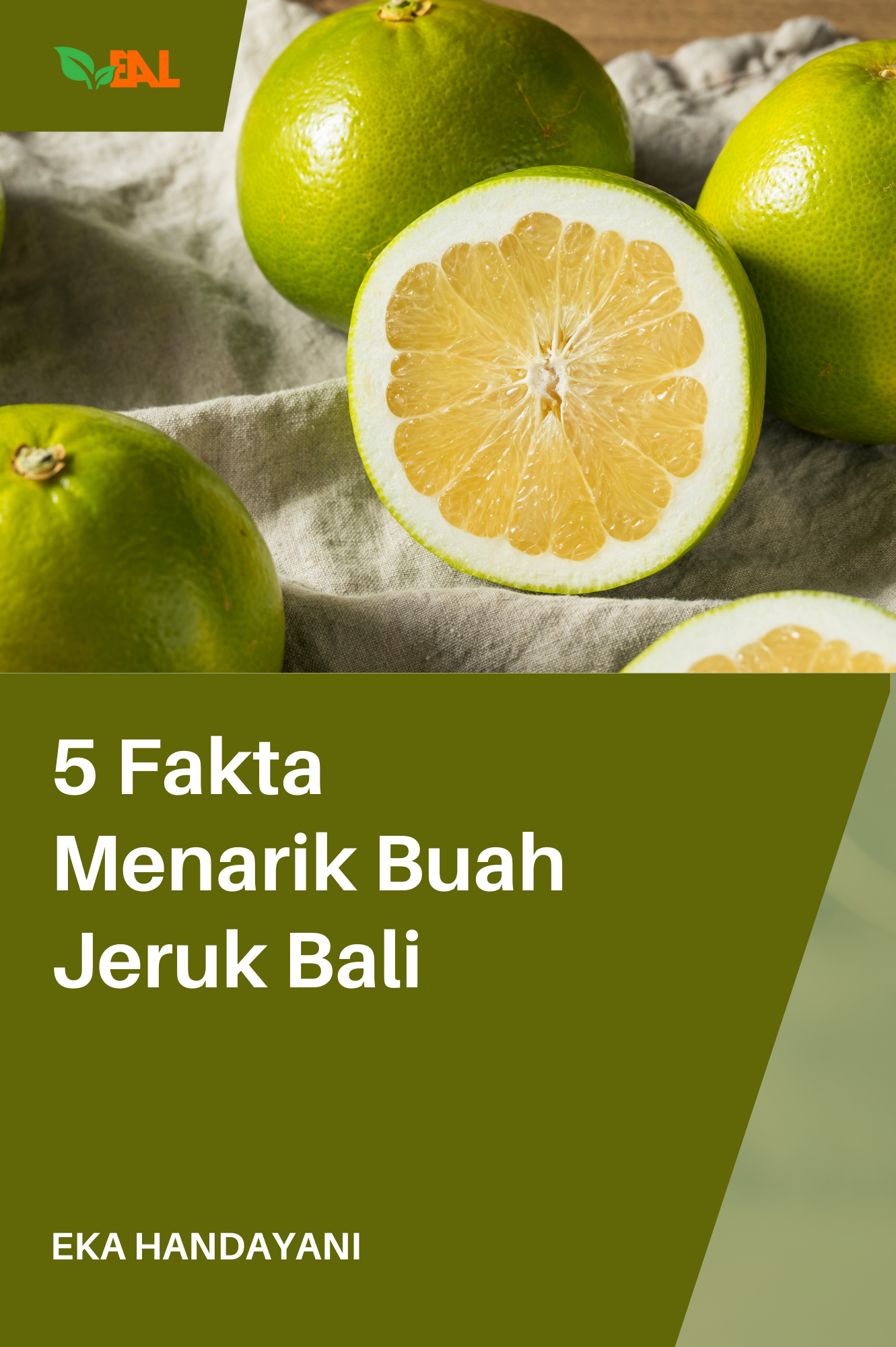 5 Fakta Menarik Buah Jeruk Bali