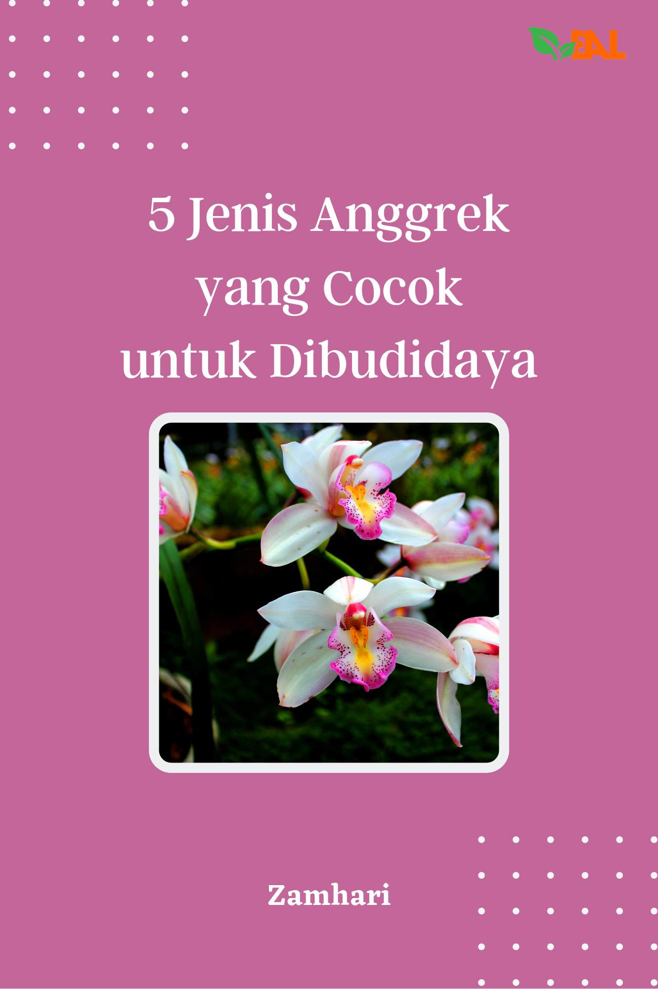 5 Jenis Anggrek yang Cocok untuk Dibudidaya