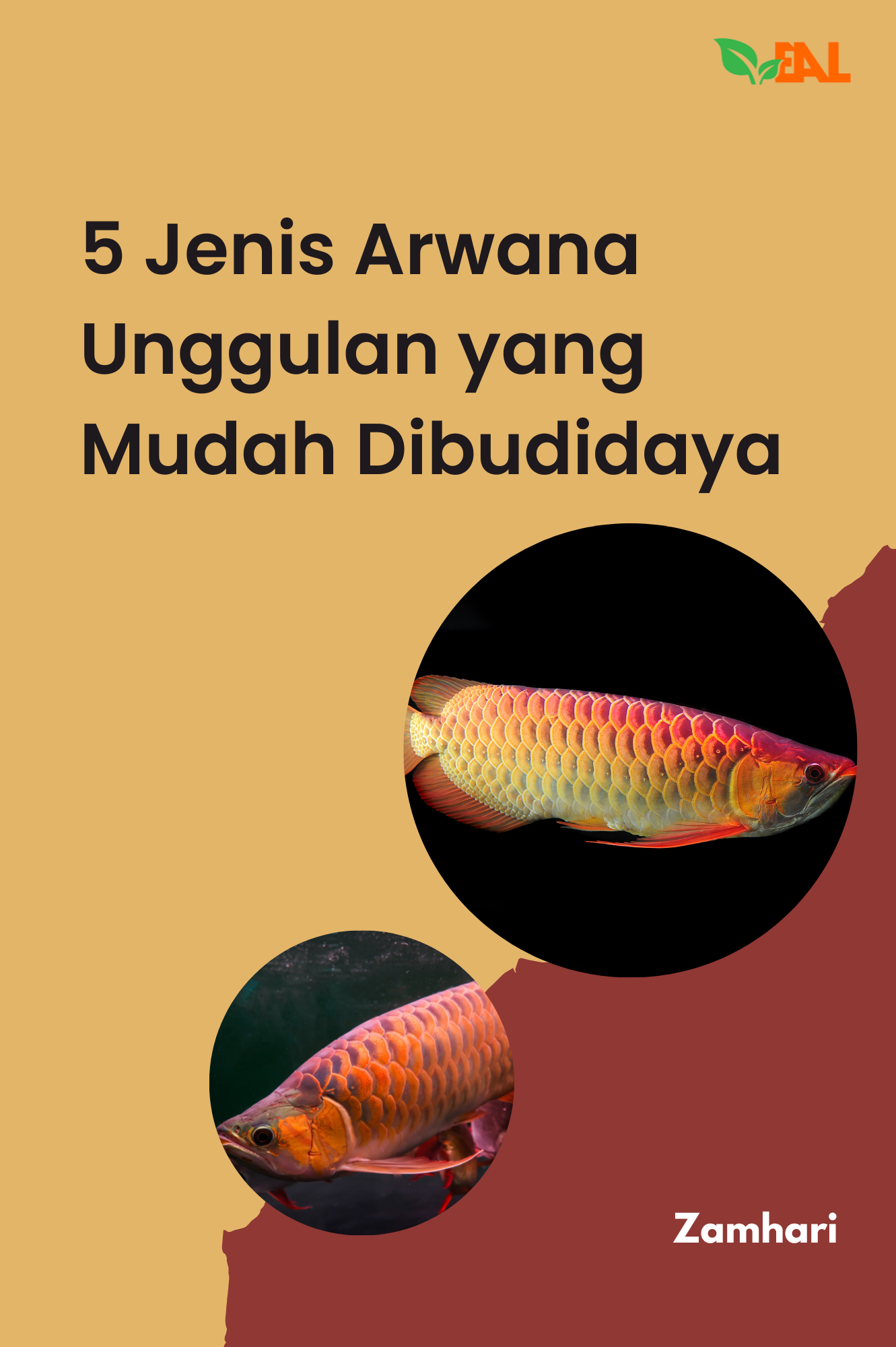 5 Jenis Arwana Unggulan yang Mudah Dibudidaya