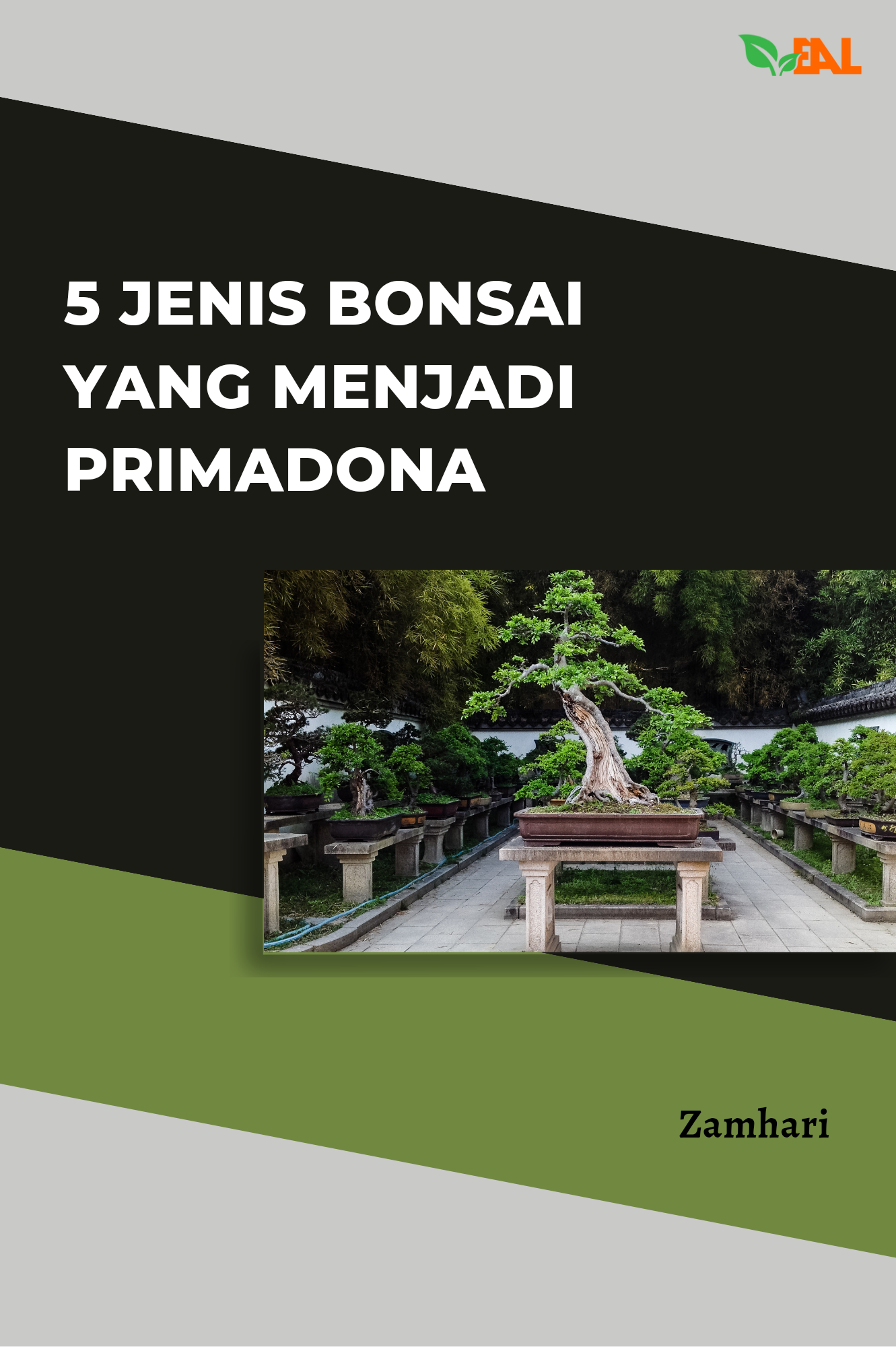 5 Jenis Bonsai yang Menjadi Primadona