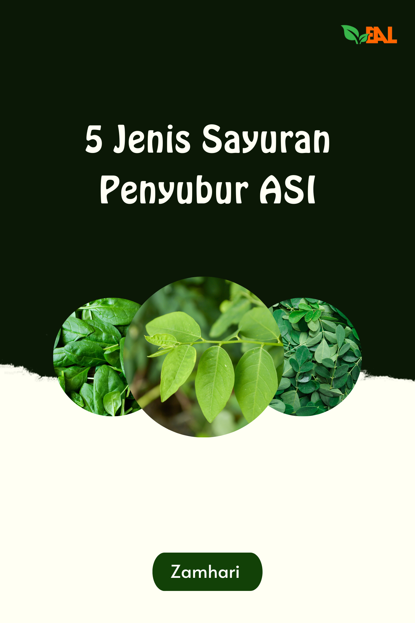 5 Jenis Sayuran Penyubur Asi