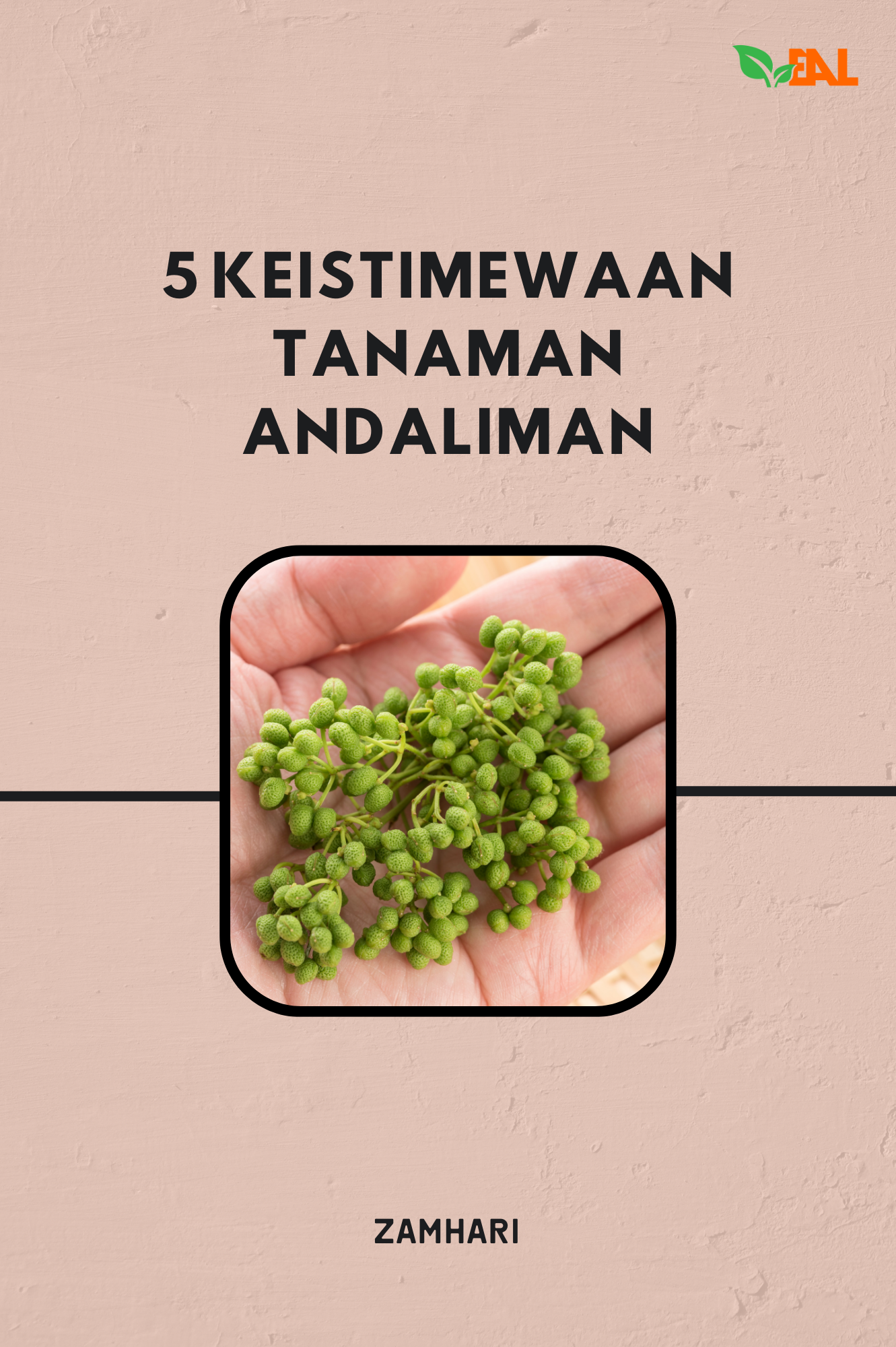 5 Keistimewaan Tanaman Andaliman