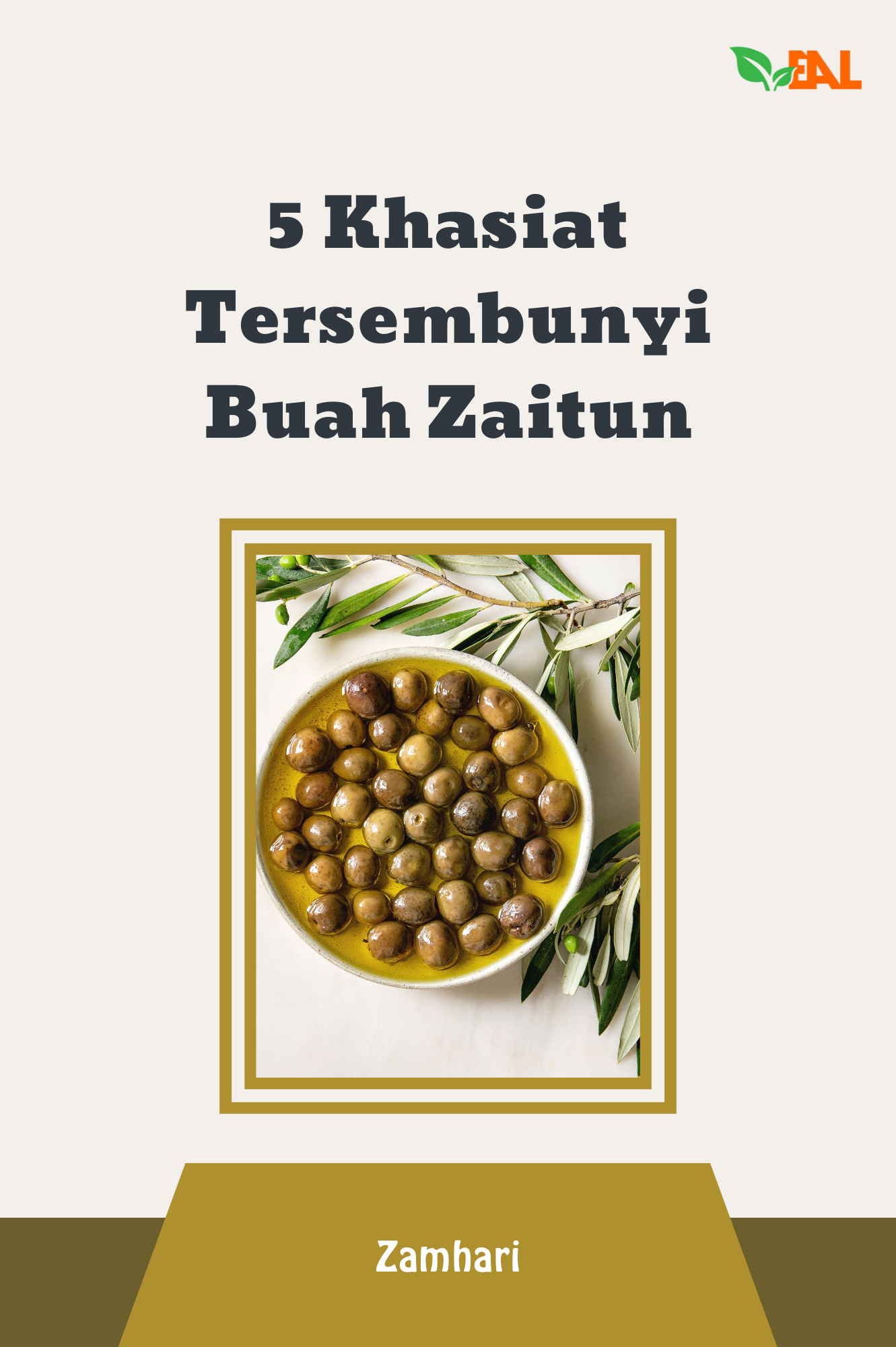 5 Khasiat Tersembunyi Buah Zaitun