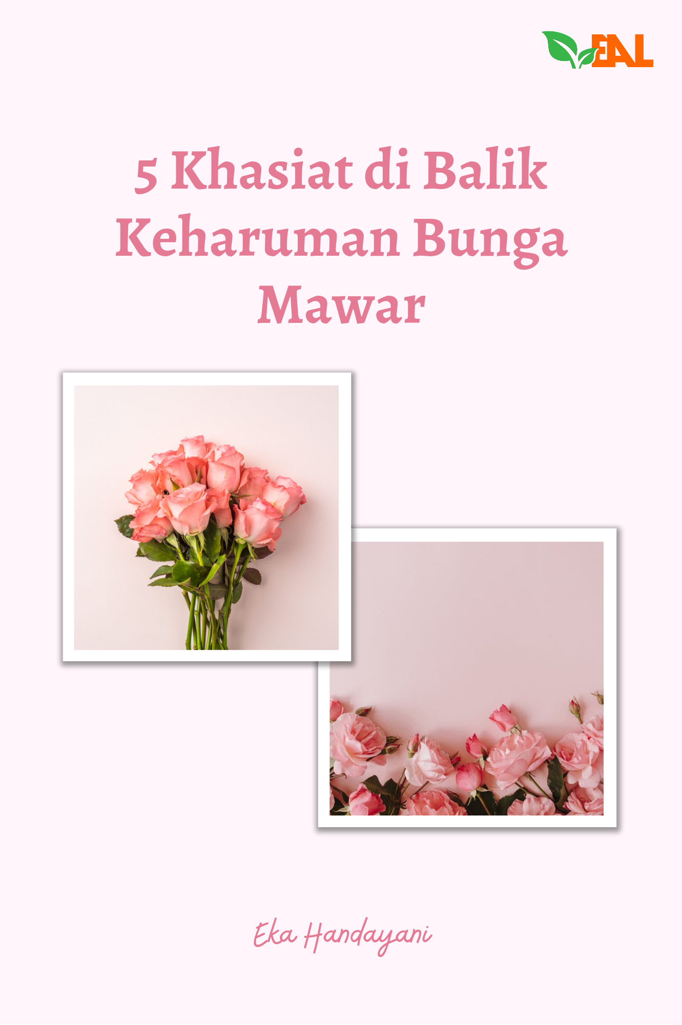 5 Khasiat di Balik Keharuman Bunga Mawar