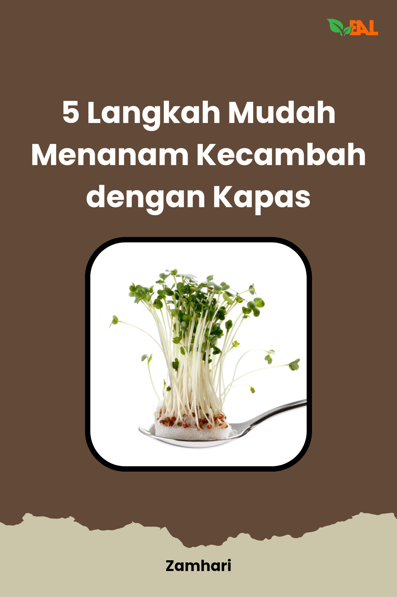 5 Langkah Mudah Menanam Kecambah dengan Kapas