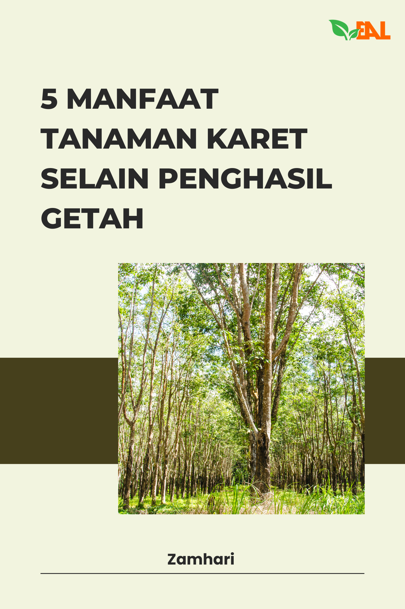 5 Manfaat Tanaman Karet Selain Penghasil Getah