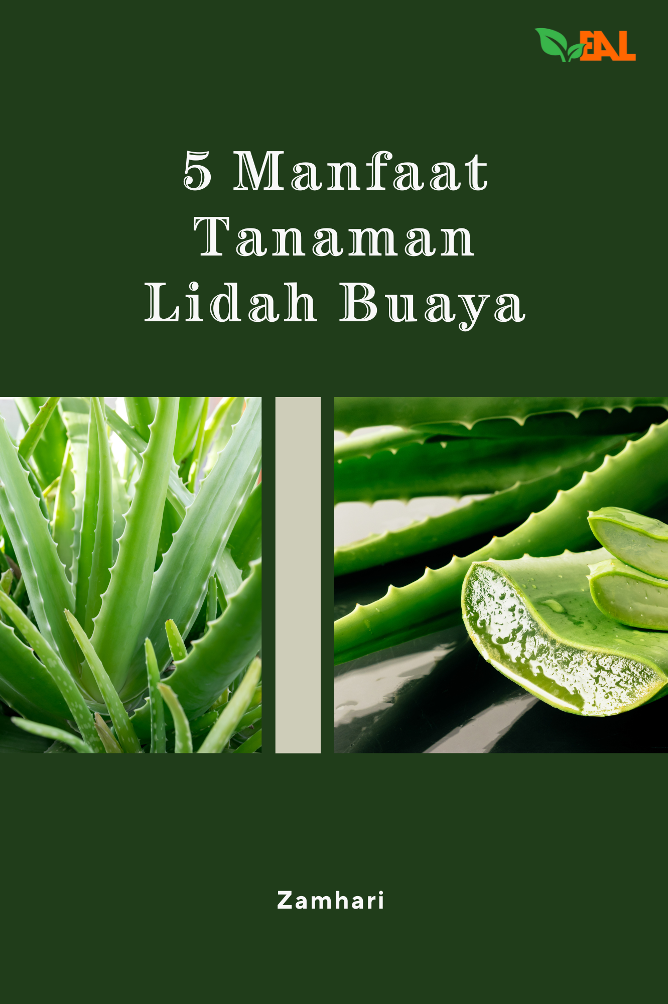 5 Manfaat Tanaman Lidah Buaya