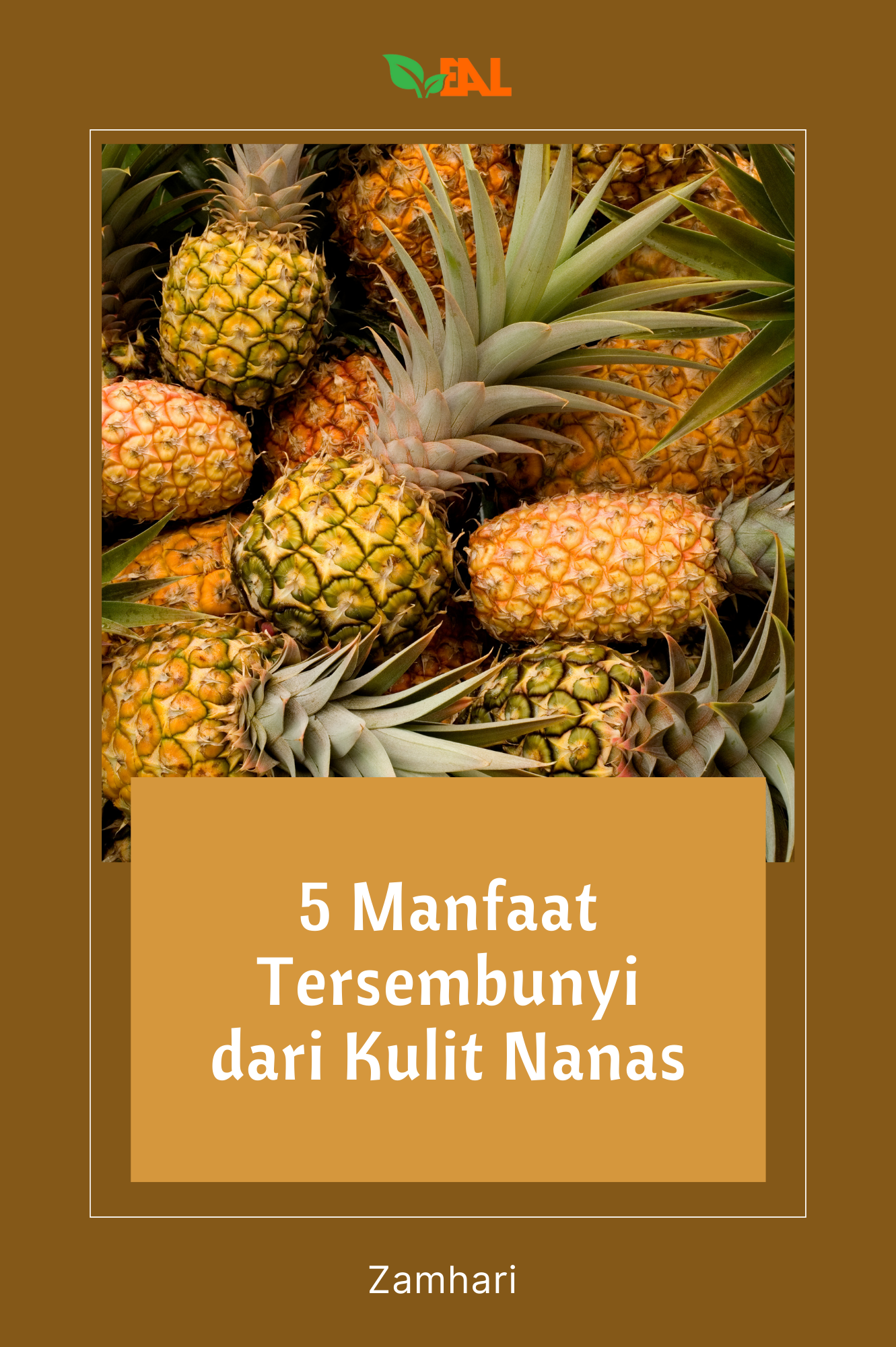 5 Manfaat Tersembunyi dari Kulit Nanas
