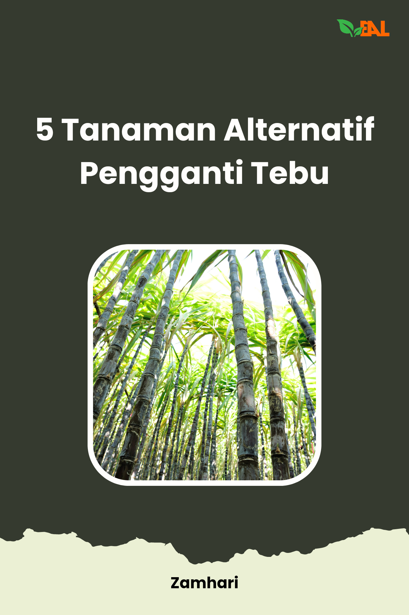 5 Tanaman Alternatif Pengganti Tebu