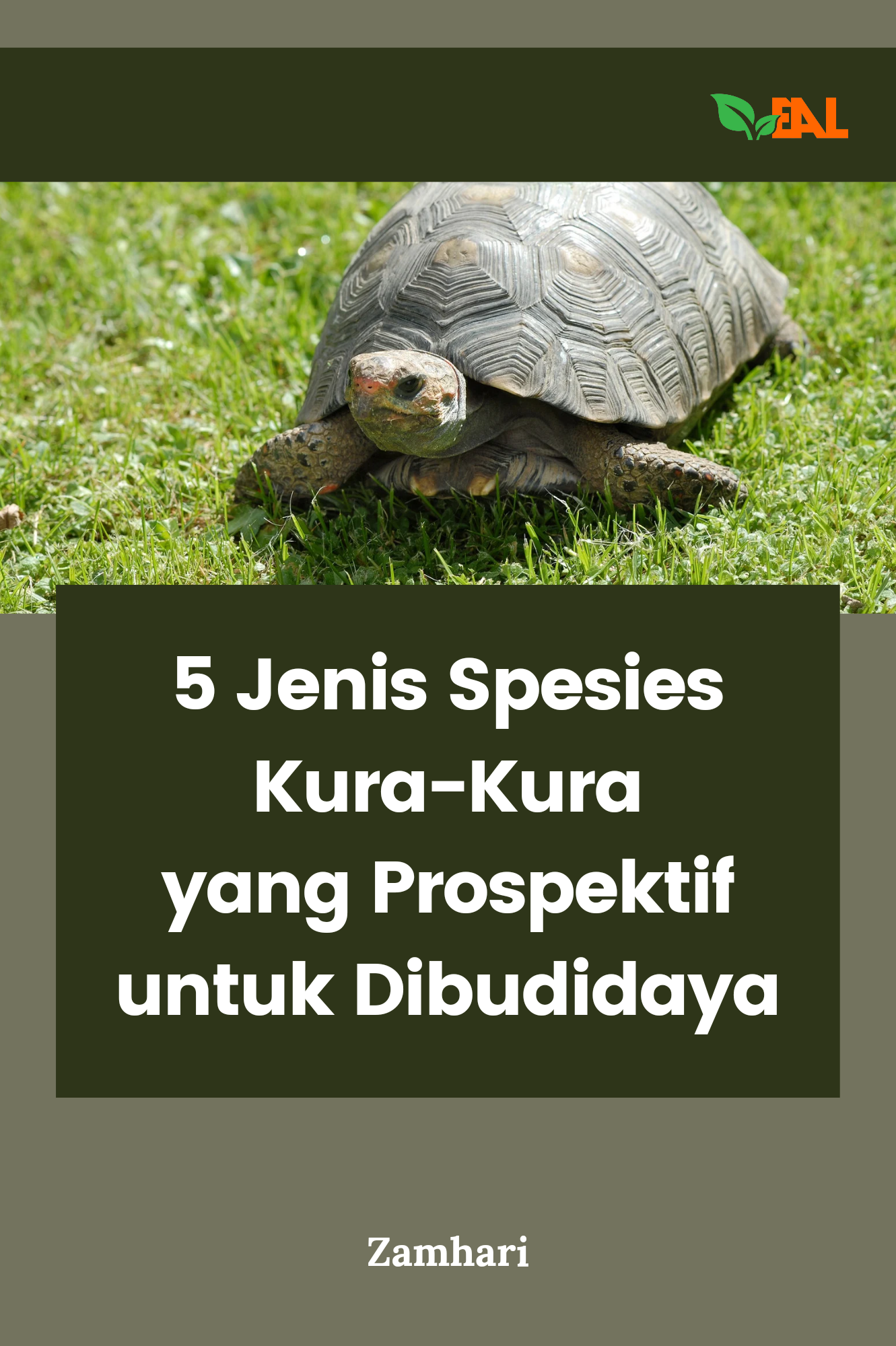 5 Jenis Spesies Kura-Kura yang Prospektif untuk Dibudidaya