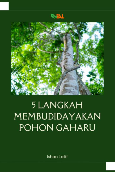 5 Langkah Membudidayakan Pohon Gaharu