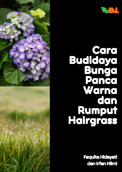 Cara Budidaya Bunga Panca Warna dan Rumput Hairgrass
