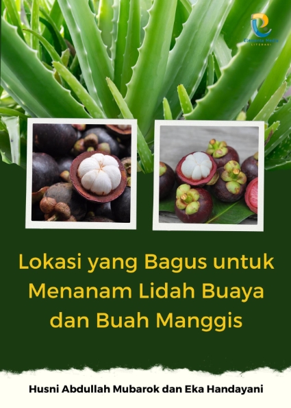 Lokasi yang Bagus untuk Menanam Lidah Buaya dan Buah Manggis