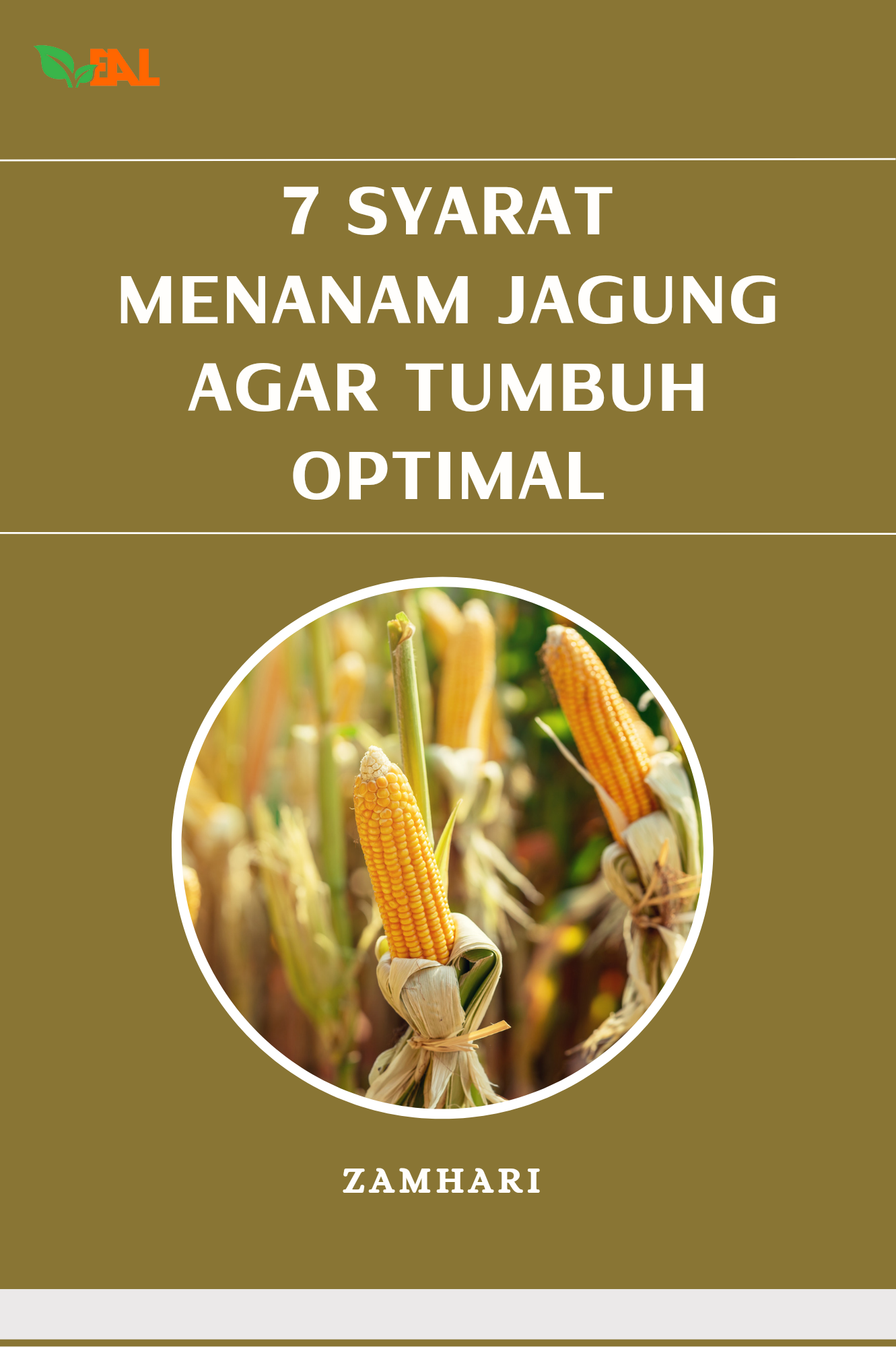 7 Syarat Menanam Jagung Agar Tumbuh Optimal