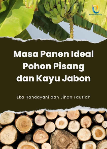 Masa Panen Ideal Pohon Pisang dan Kayu Jabon