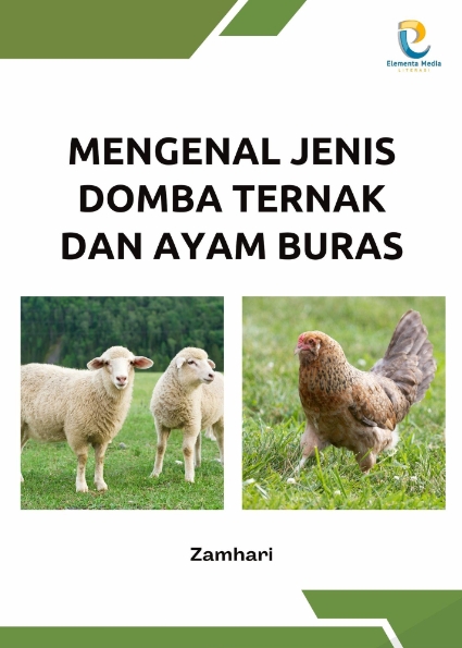 Mengenal Jenis Domba Ternak dan Ayam Buras