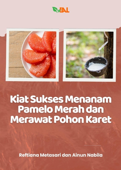 Kiat Sukses Menanam Pamelo Merah dan Merawat Pohon Karet