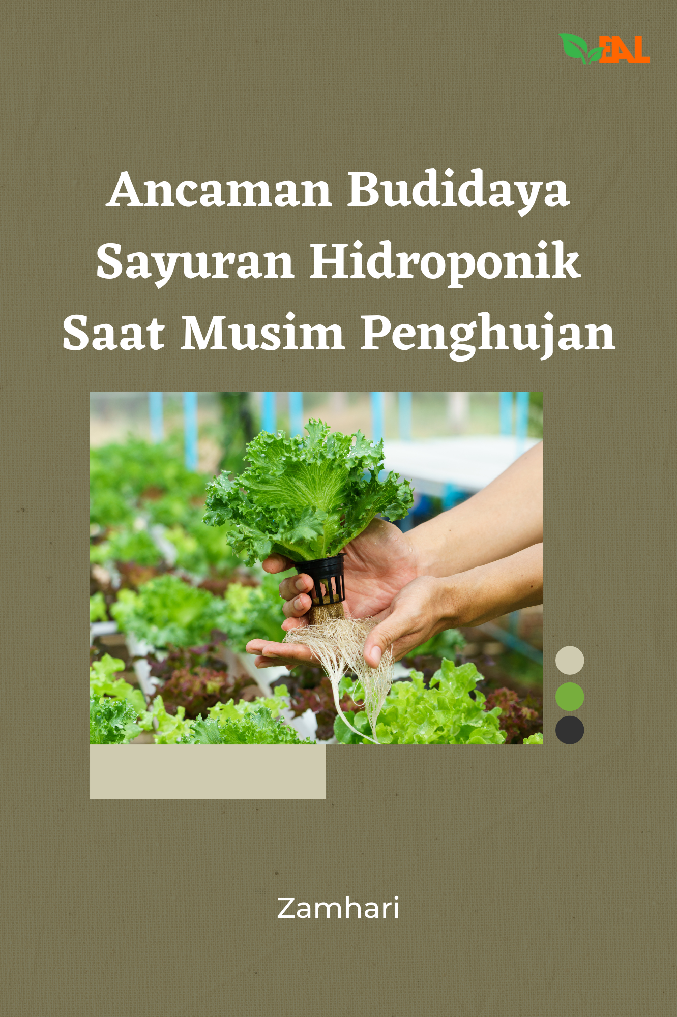 Ancaman Budidaya Sayuran Hidroponik Saat Musim Penghujan