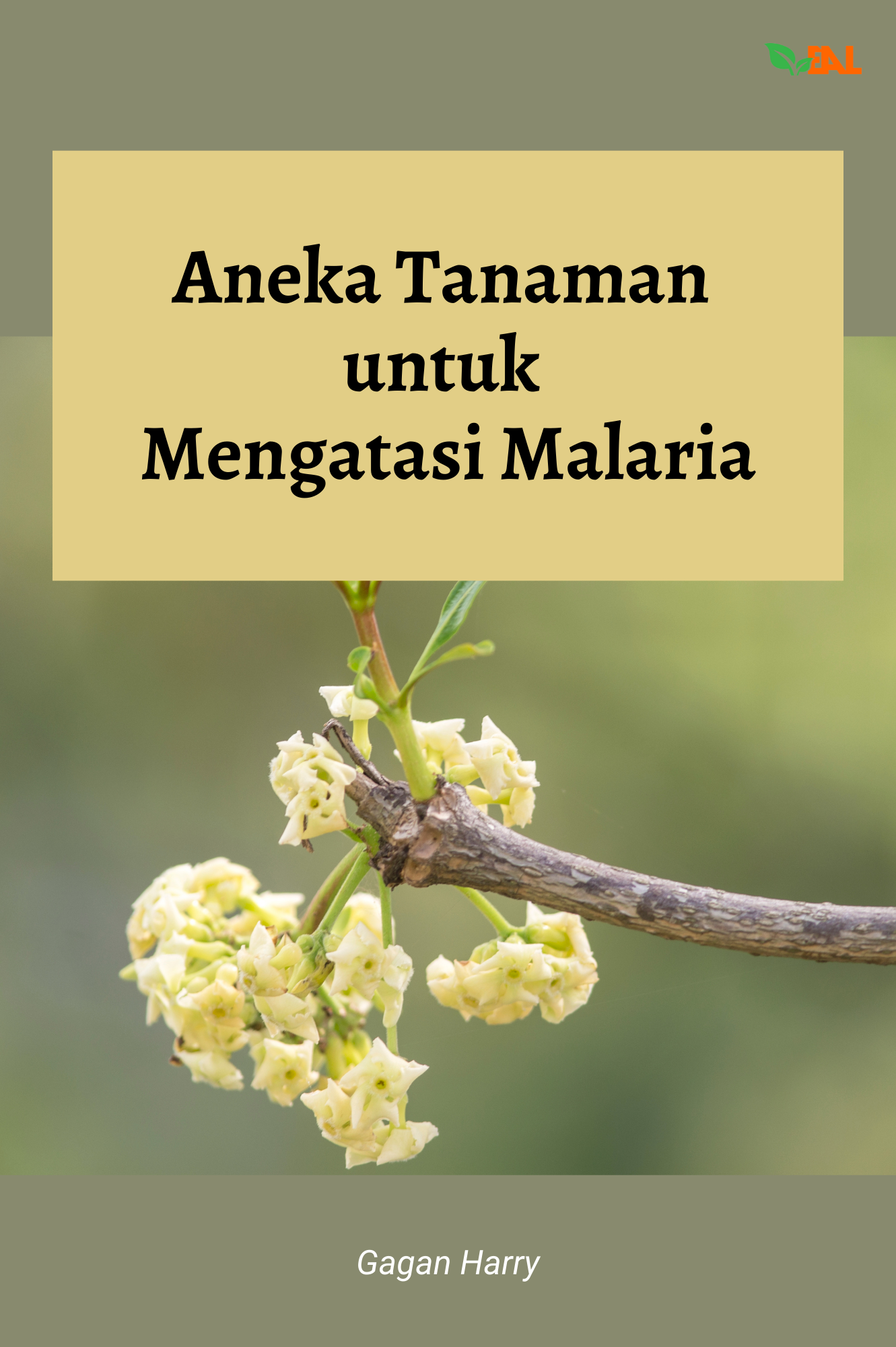 Aneka Tanaman untuk Mengatasi Malaria