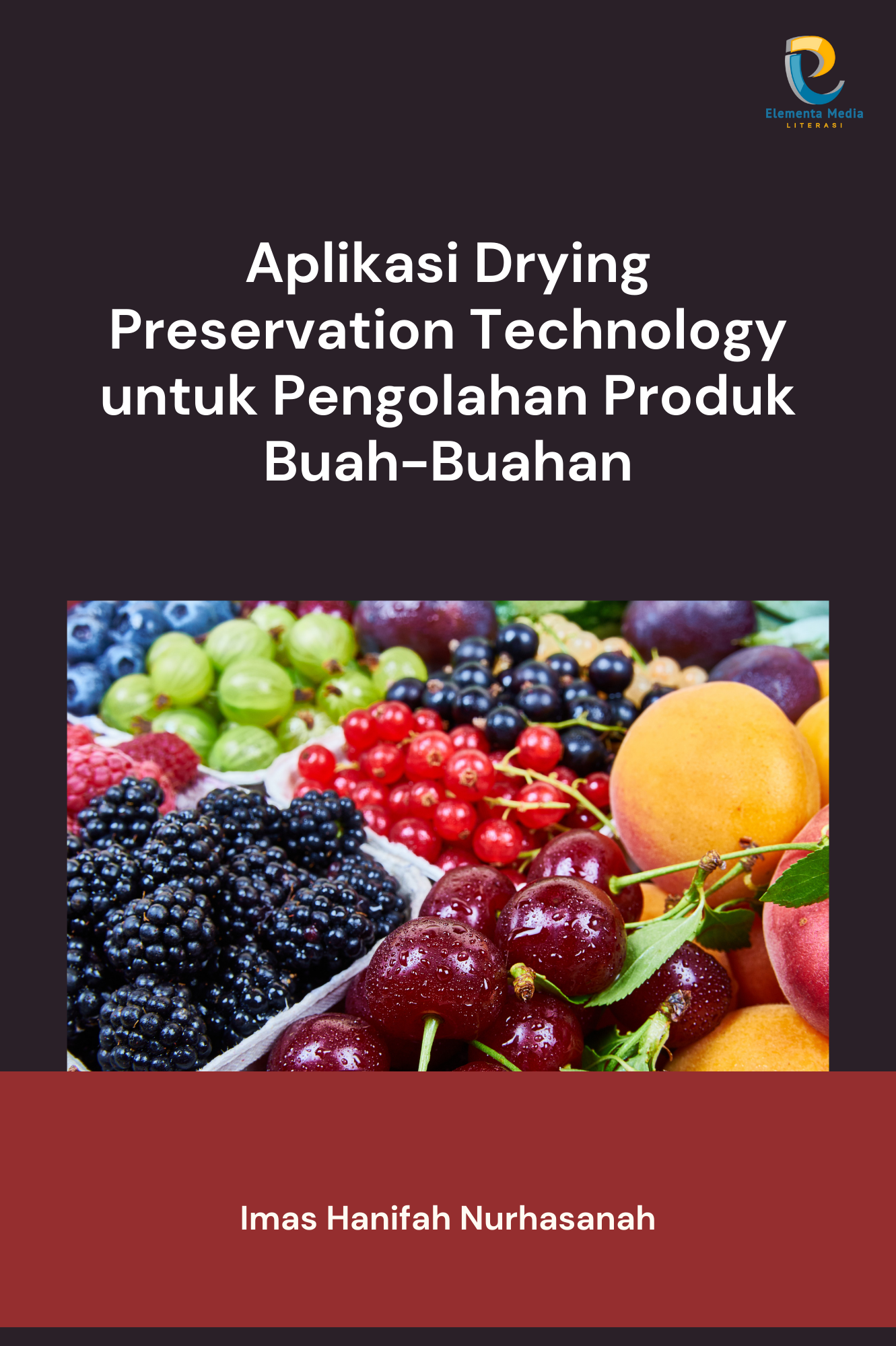 Aplikasi Drying Preservation Technology untuk Pengolahan Produk Buah-Buahan