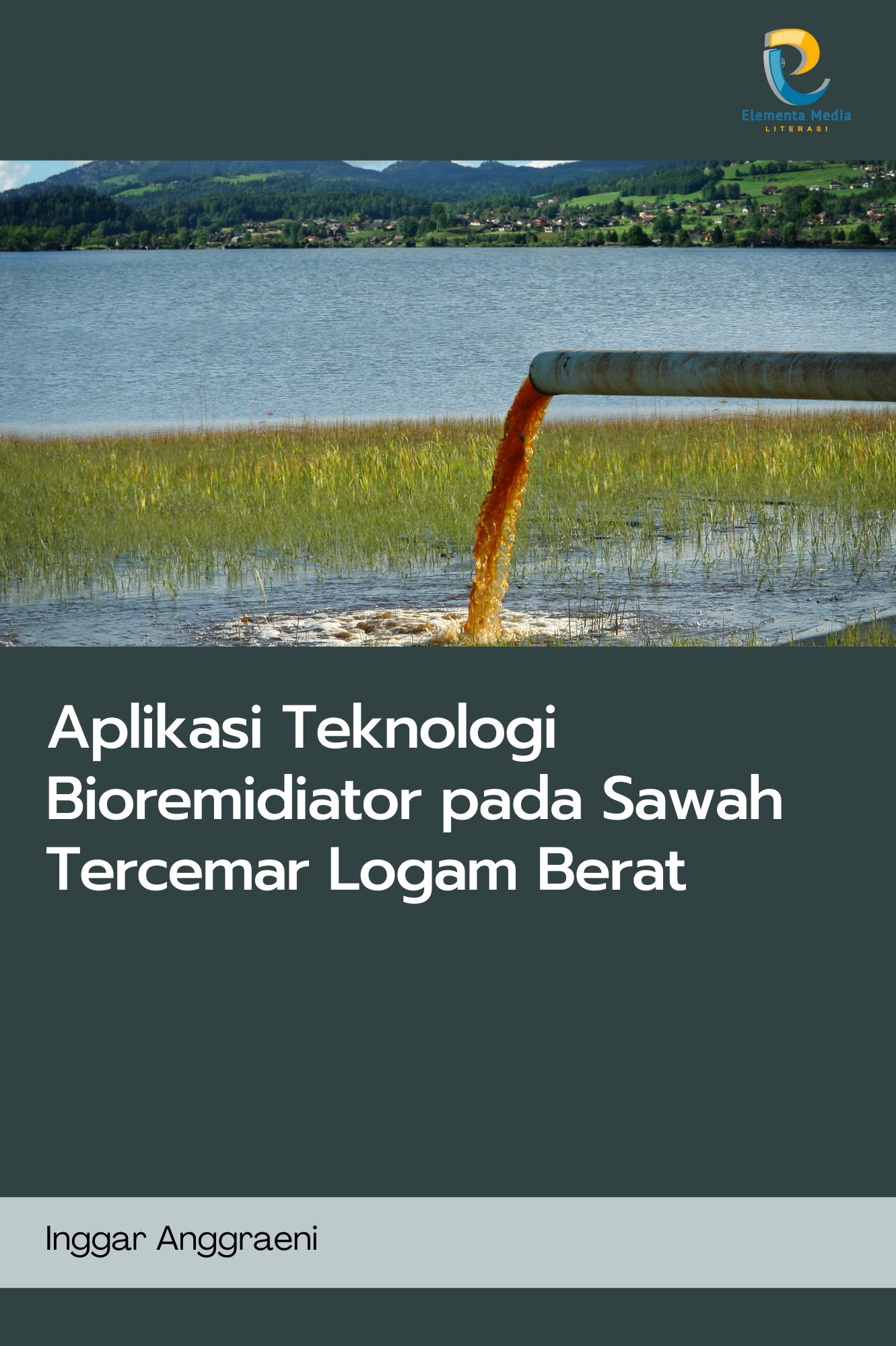 Aplikasi Teknologi Bioremidiator pada Sawah Tercemar Logam Berat