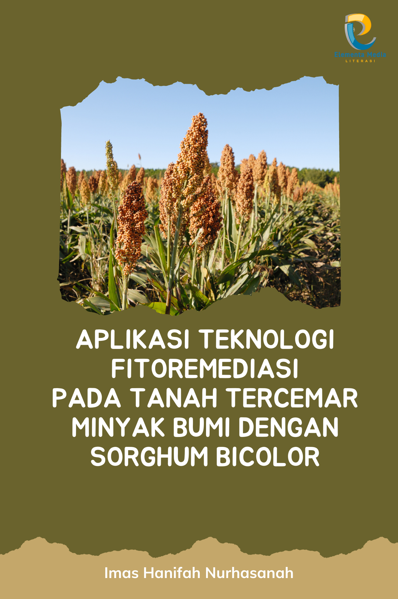 Aplikasi Teknologi Fitoremediasi pada Tanah Tercemar Minyak Bumi dengan Sorghum Bicolor