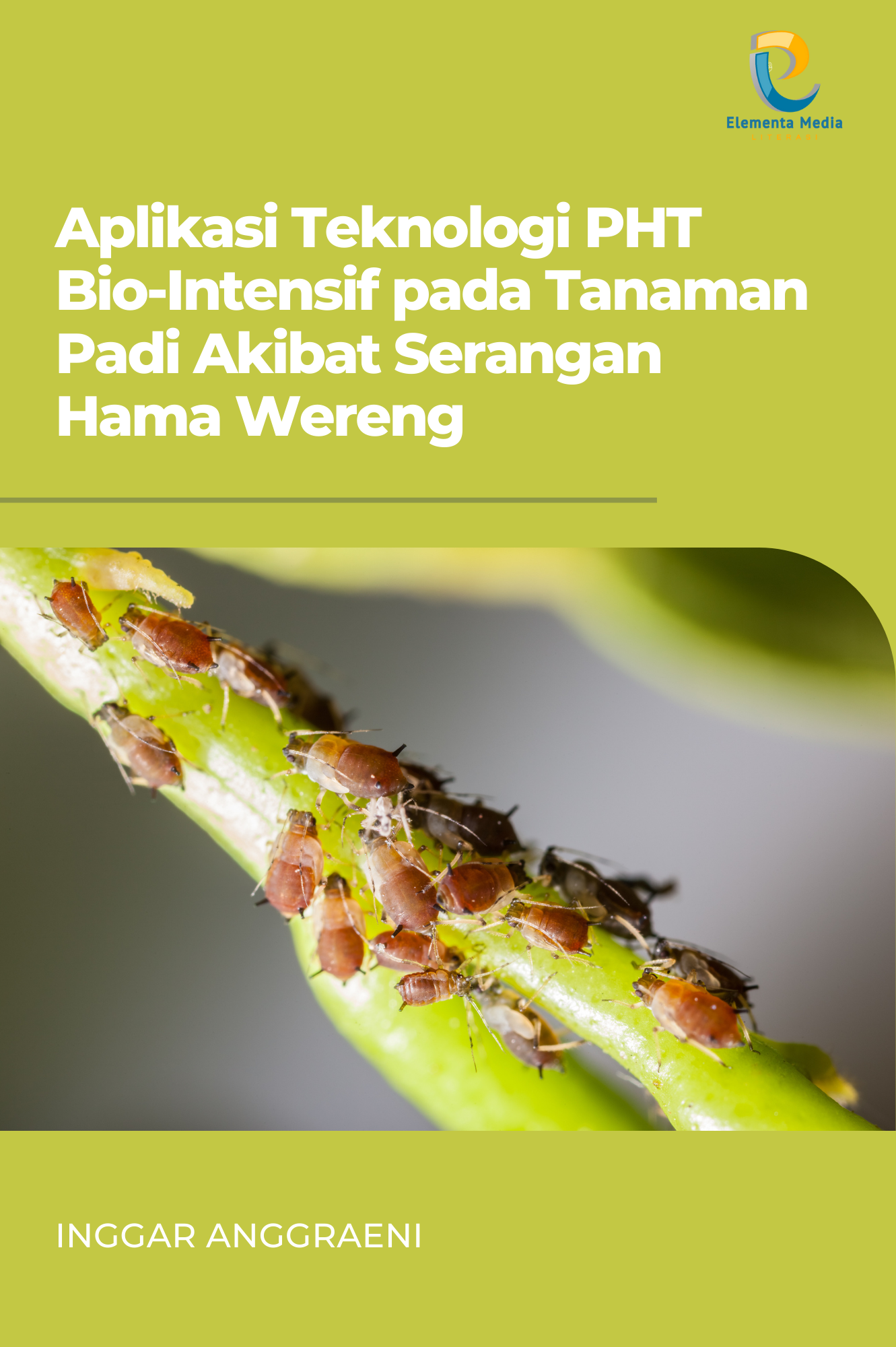 Aplikasi Teknologi PHT Bio-Intensif pada Tanaman Padi Akibat Serangan Hama Wereng