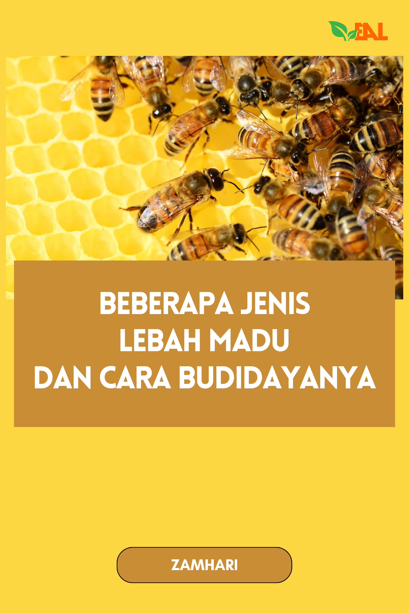 Beberapa Jenis Lebah Madu dan Cara Budidayanya