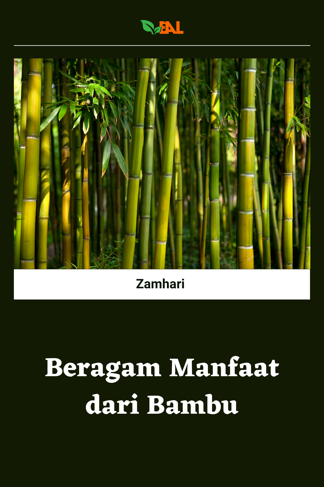 Beragam Manfaat dari Bambu