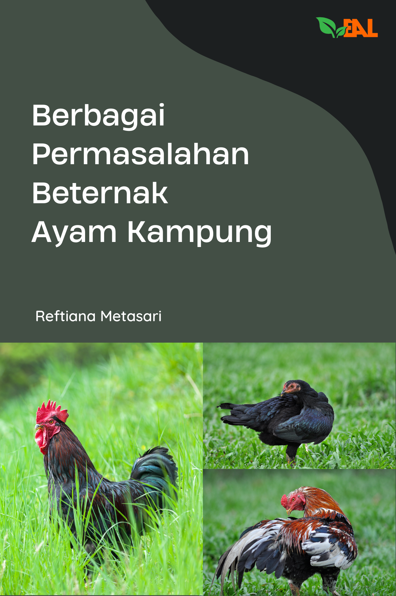 Berbagai Permasalahan Beternak Ayam Kampung