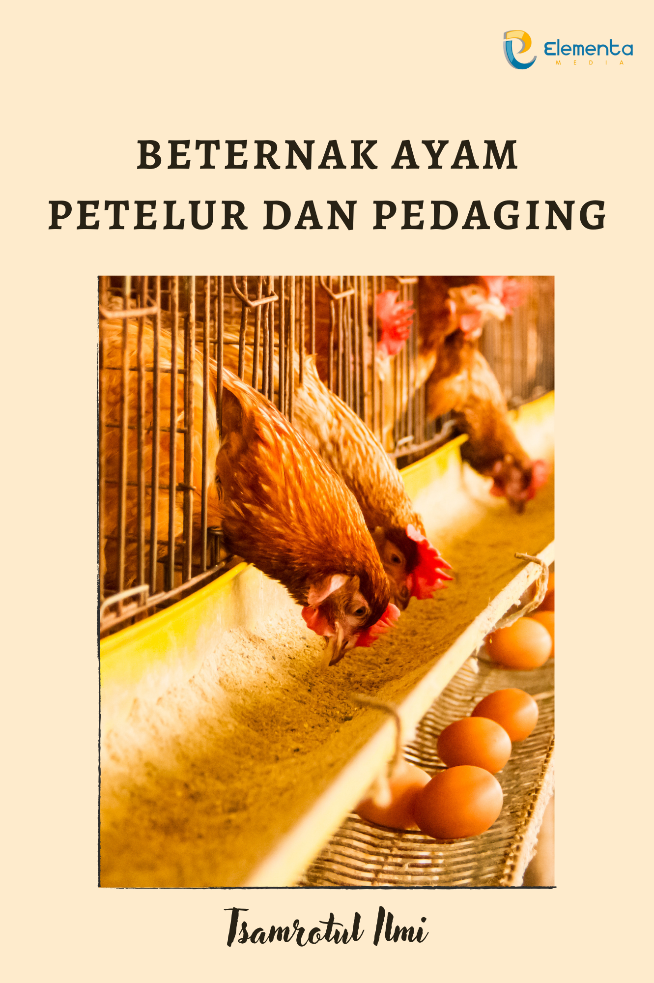 Beternak Ayam Petelur dan Pedaging