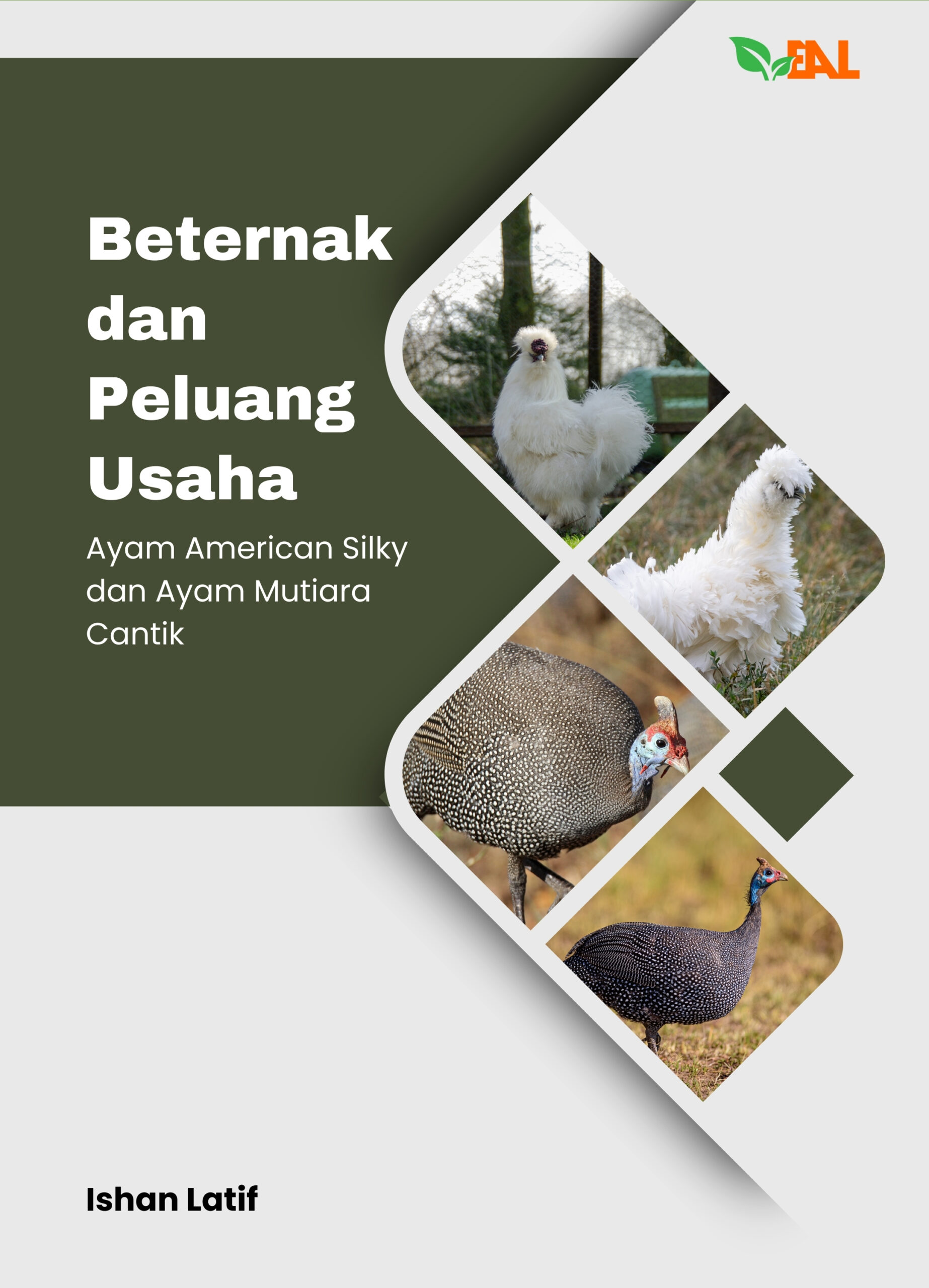 Beternak dan Peluang Usaha: Ayam American Silky dan dan Ayam Mutiara Cantik